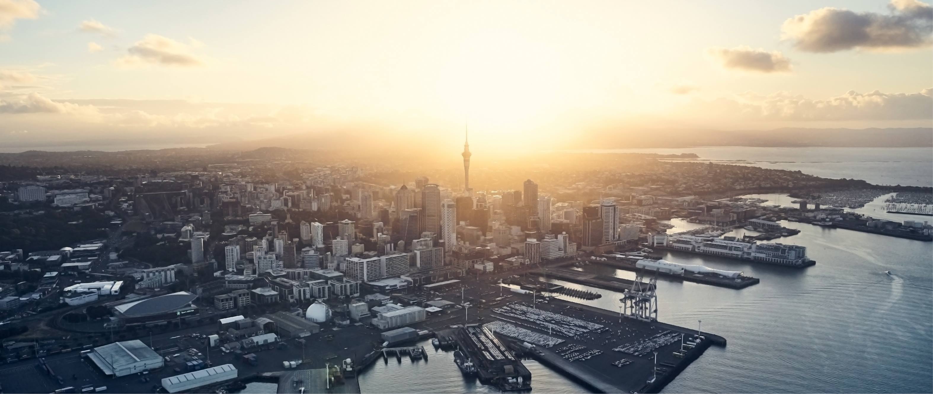 Auckland University Wins Global Innovation Award