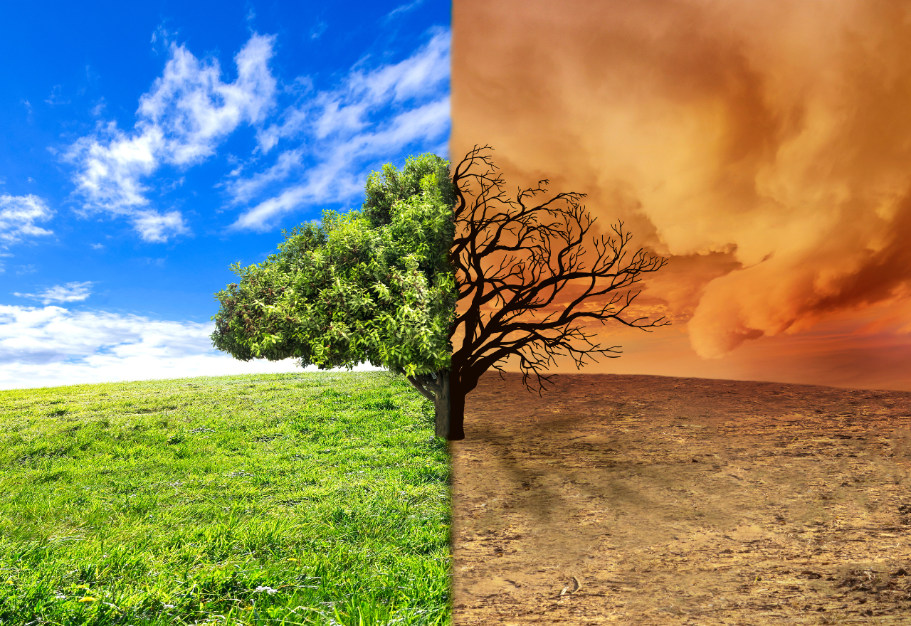 Not everyone a fan of new 2035 climate change target