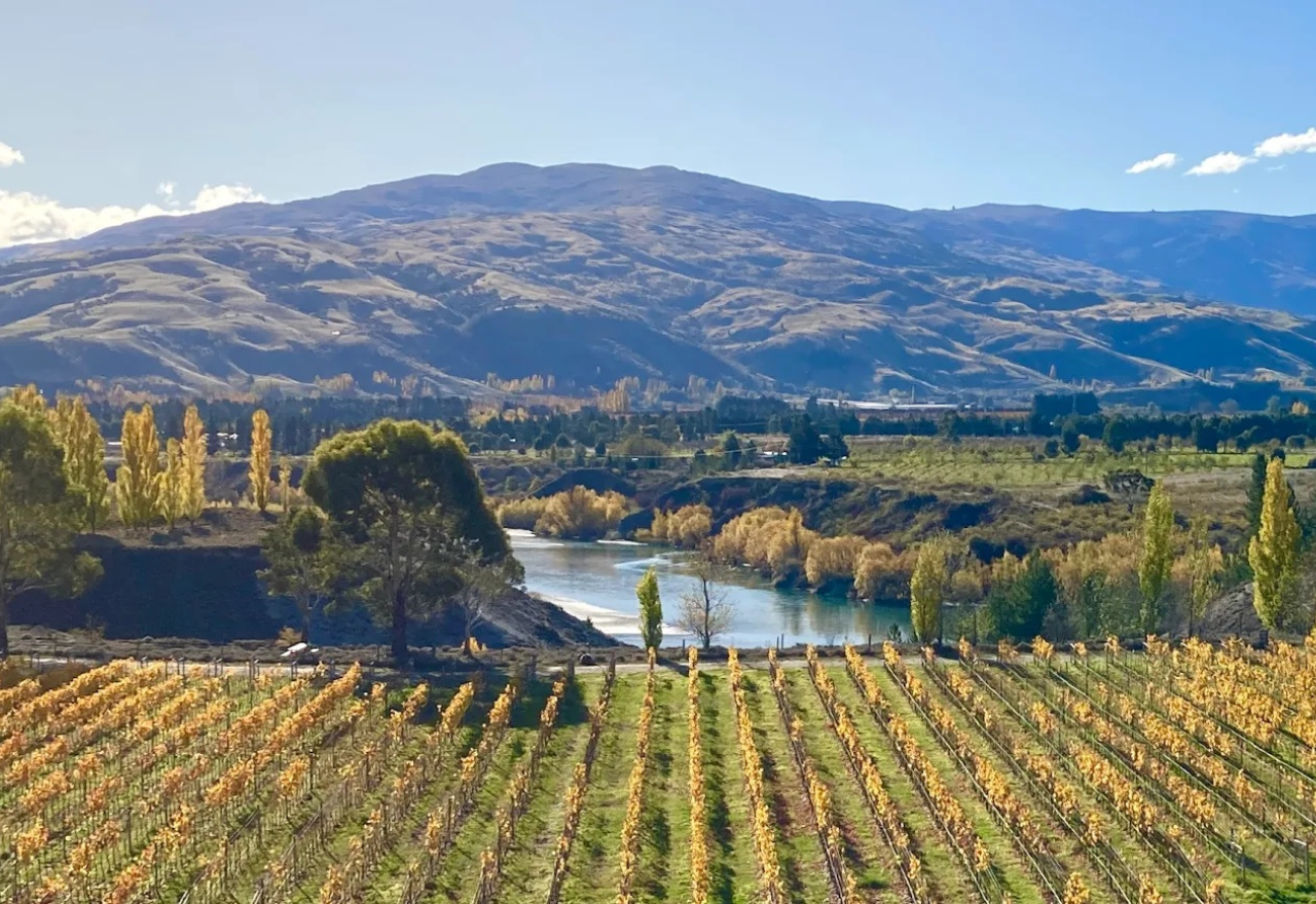 Shotover consent applications open for public submissions