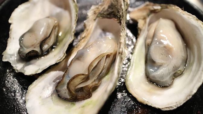 Shellfish harvesting back on KI
