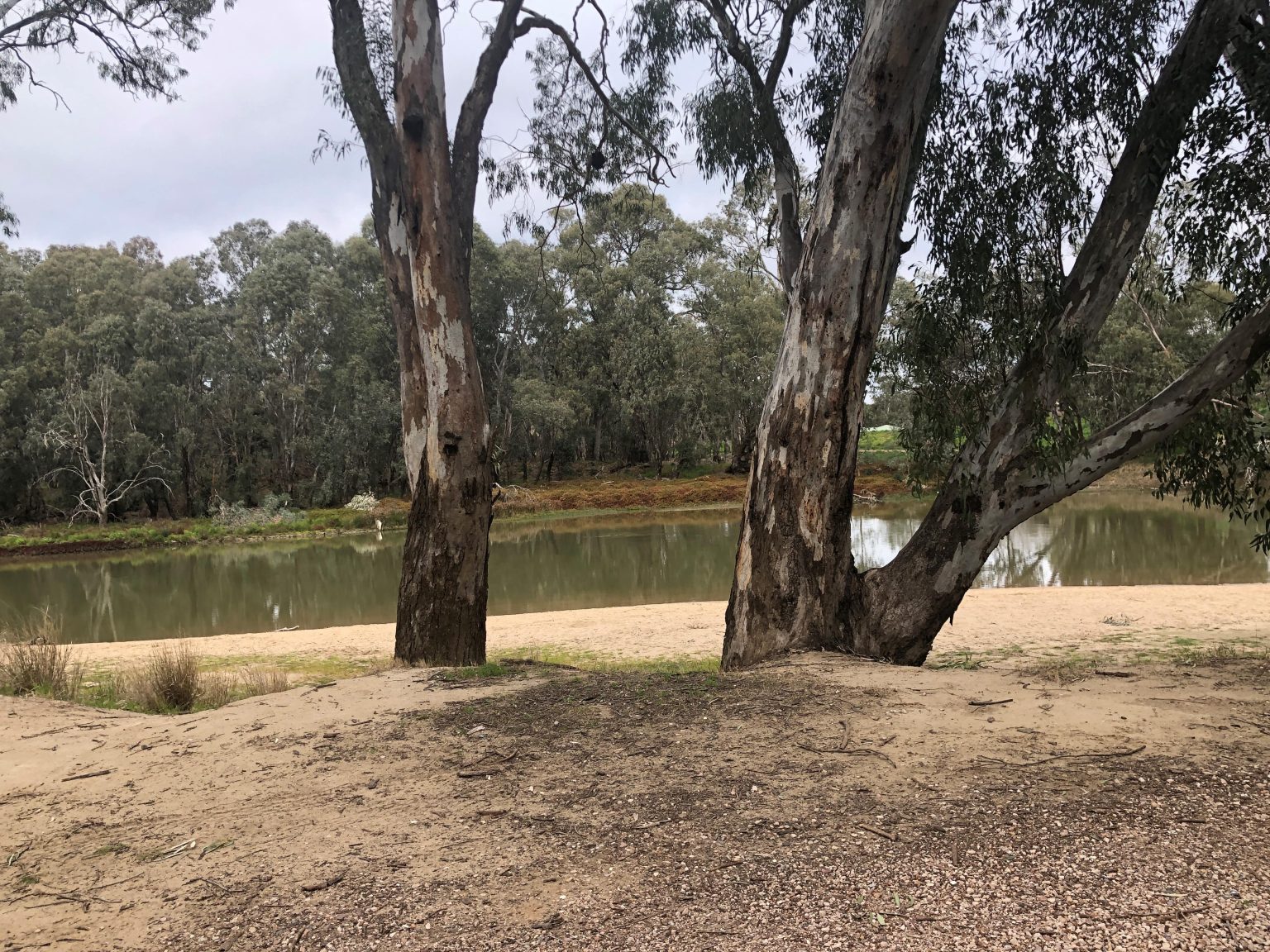 River Red Gum Estate opened