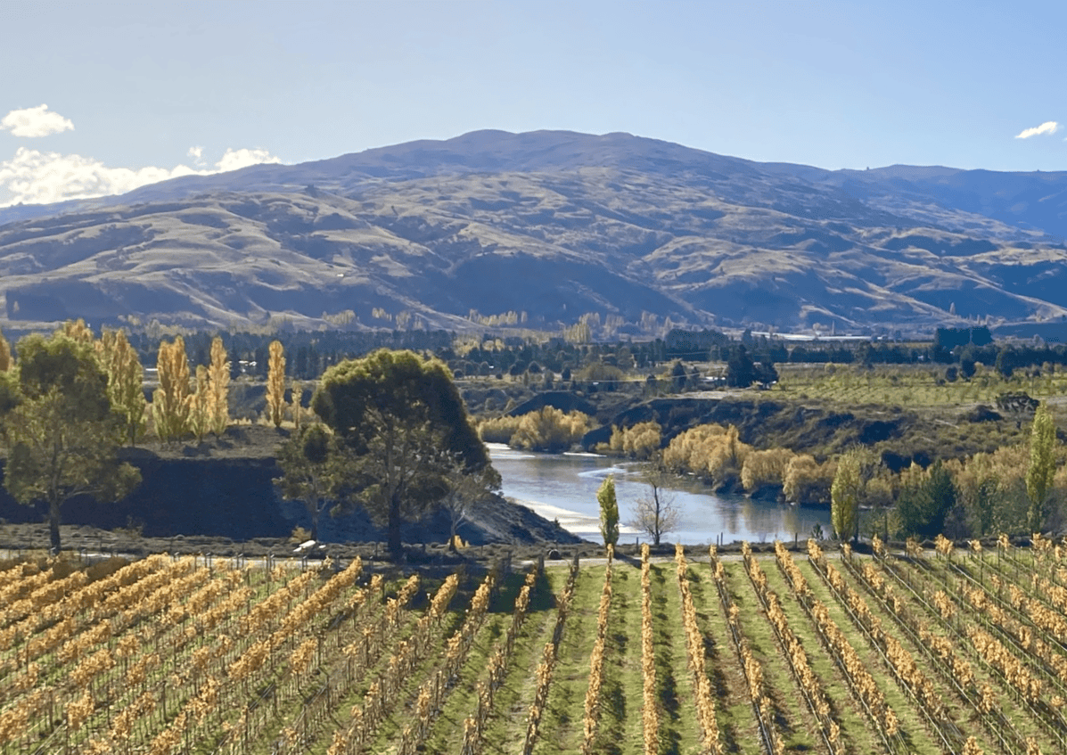 Shotover consent applications open for public submissions