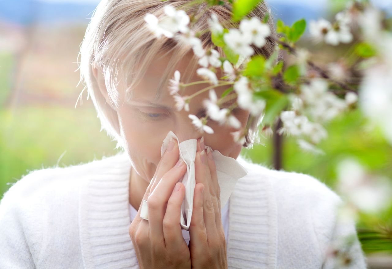 Wetter Summer Could Ease Kiwi Allergy Woes