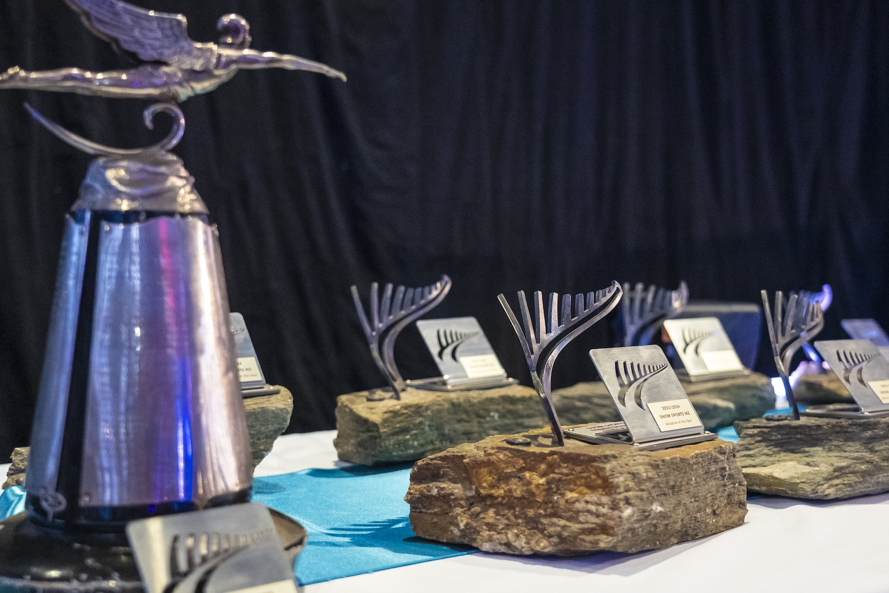 Nominees announced for Snow Sports annual awards 