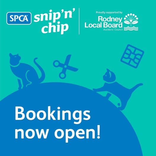 FREE cat desexing and microchipping in Rodney – limited availability