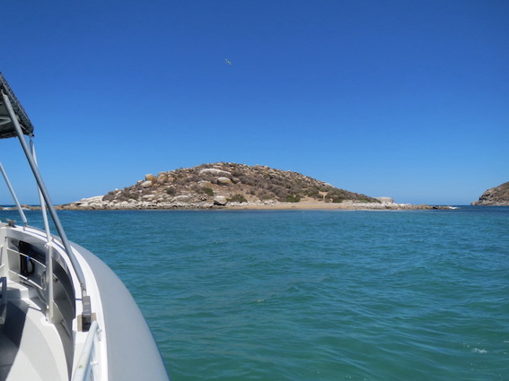 Coastal tourism businesses welcome voucher bookings