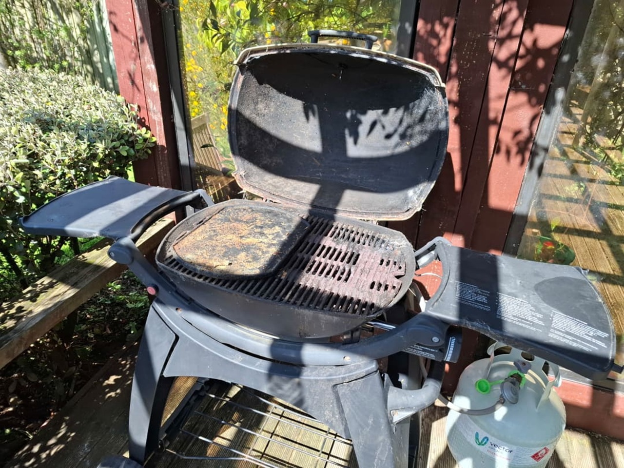 Can you rescue your abandoned barbecue from winter?