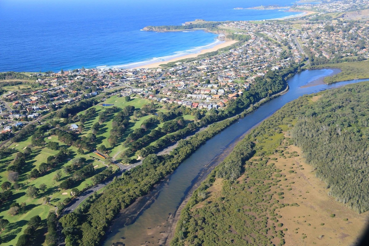 Dead cows removed from Minnamurra River