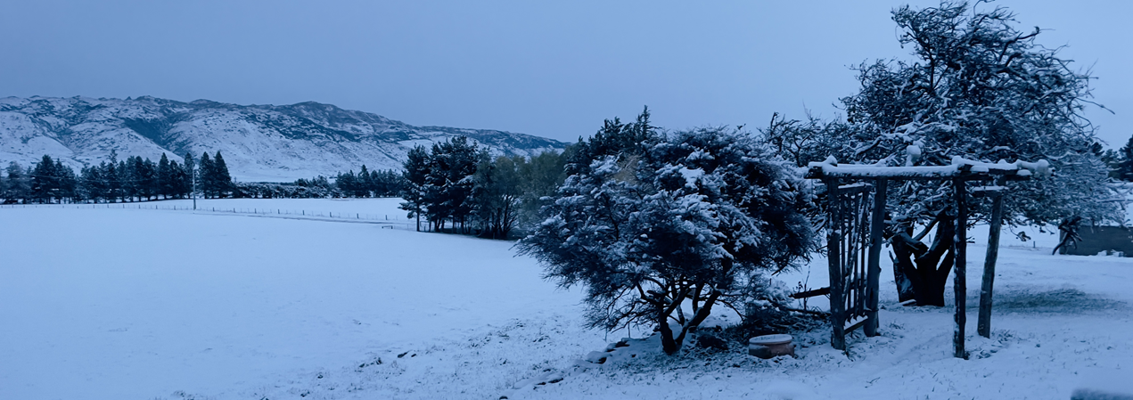 A spring snowfall hits lambing farms and local roads