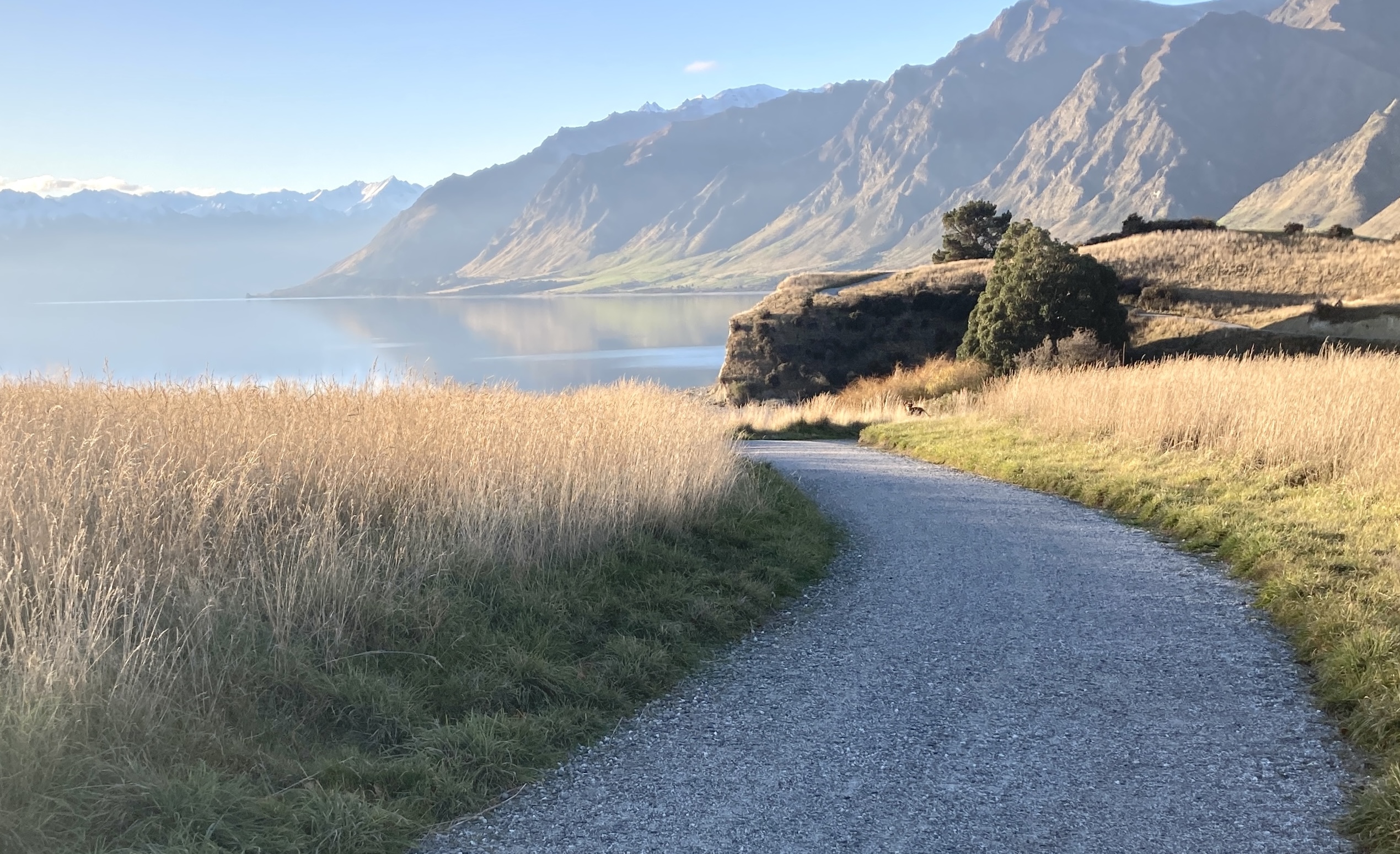 Councillors back plan to protect parks, waterways and trails