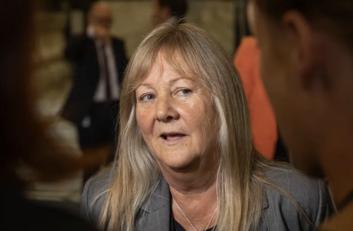Environment Minister accused of staying silent on fast-track projects
