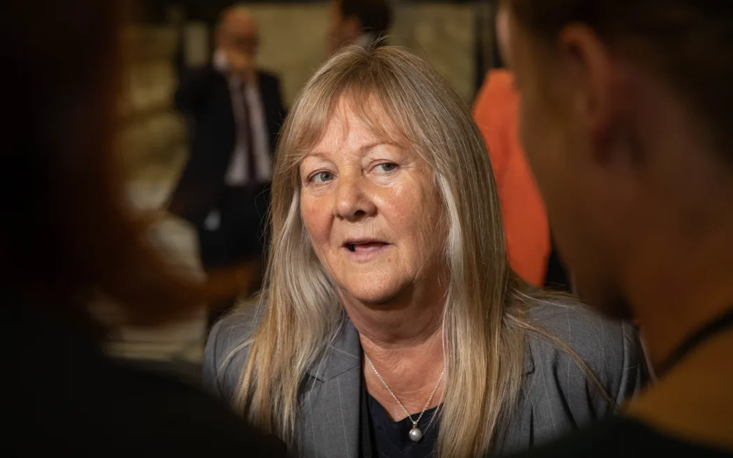 Environment Minister accused of staying silent on fast-track projects