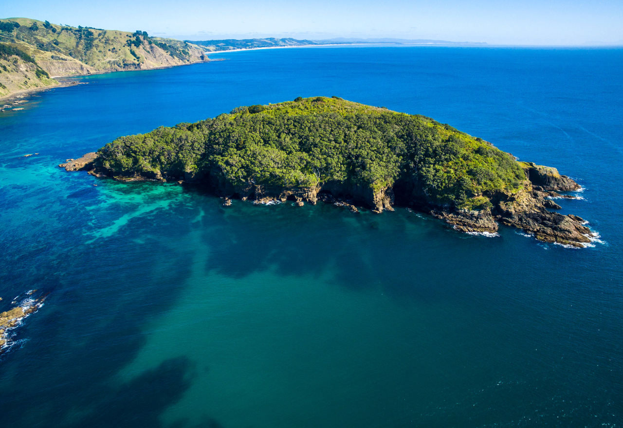 Historic new protections for Hauraki Gulf / Tīkapa Moana