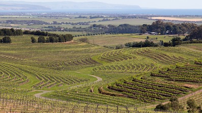 Have a say on the McLaren Vale marathon 