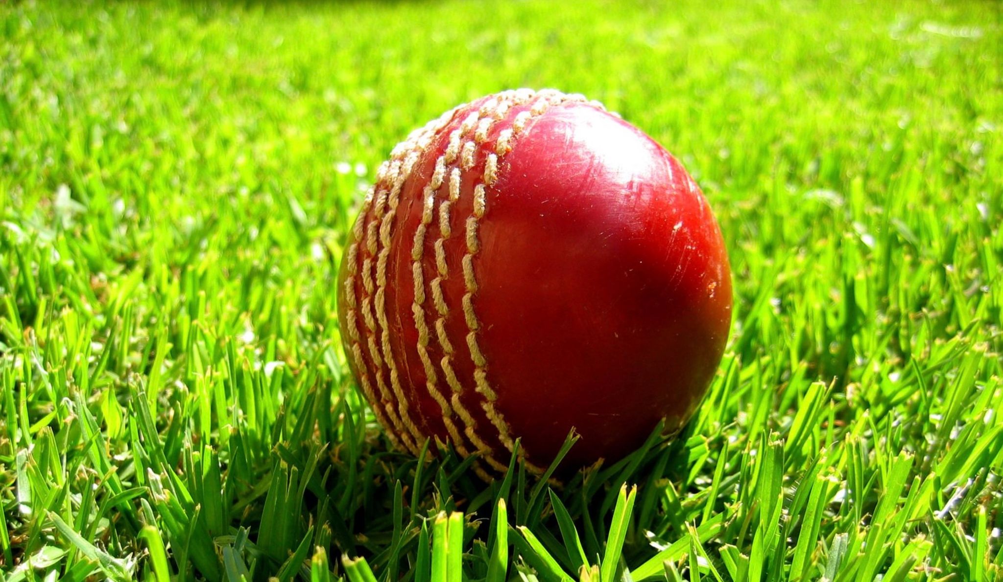Alexandra & Eastern Hills Cricket preview