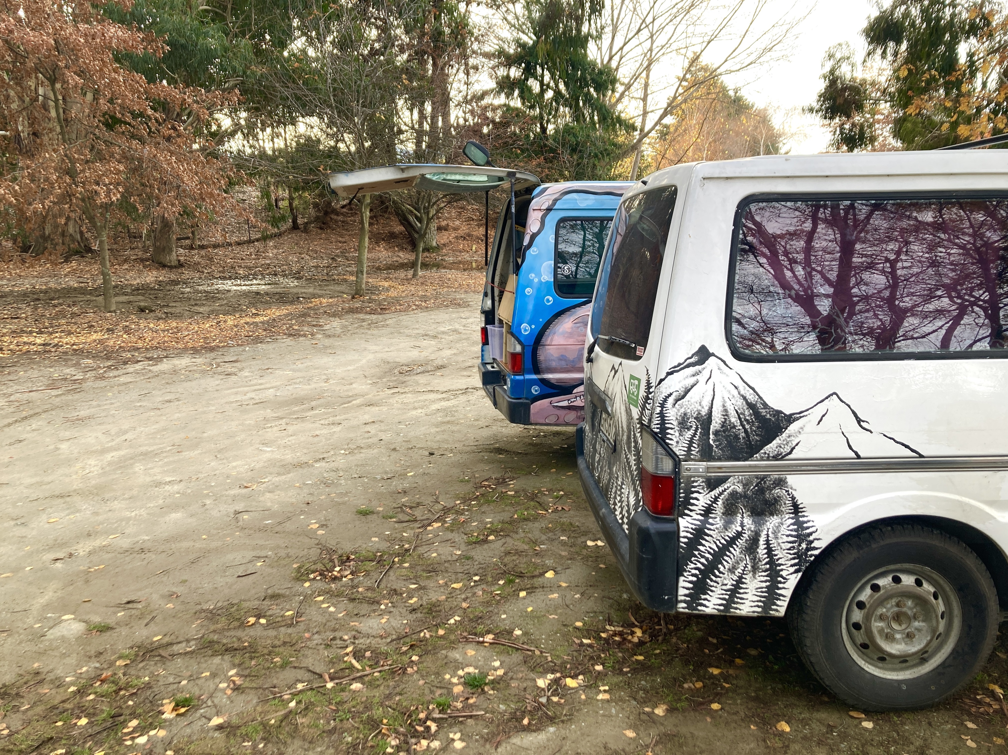 ‘Complex’ freedom camping issues addressed by bylaw 