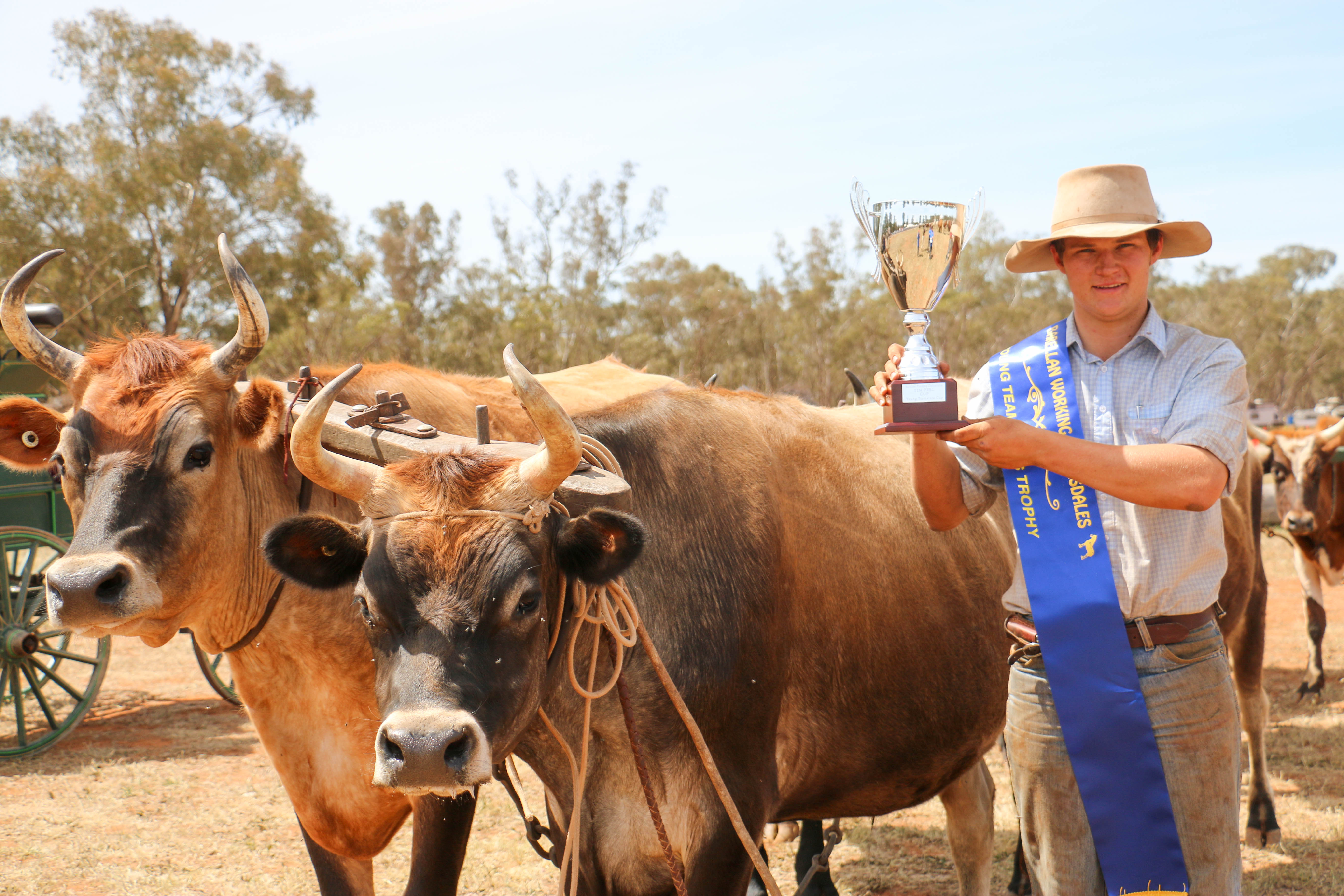 Talented young bullock driver honoured with Tim Peel Cup 